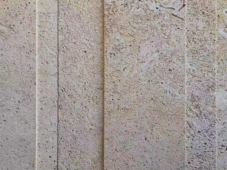 Coral Stone Wall （2）